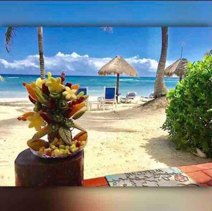 Beachfront Akumal Half Moon Bay ภายนอก รูปภาพ